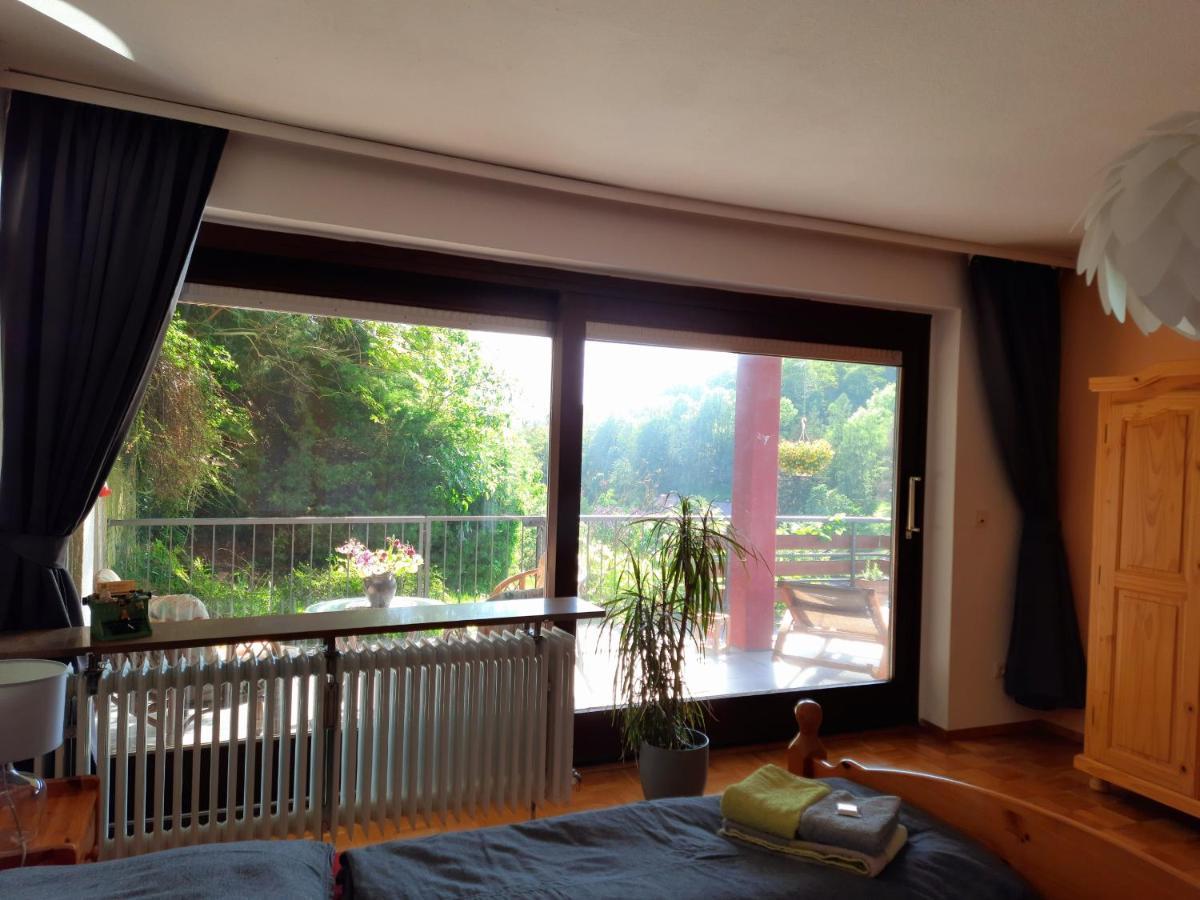 Ferienwohnung Rhododendron - Natur Pur Am Highwalk Rotenburg an der Fulda Buitenkant foto