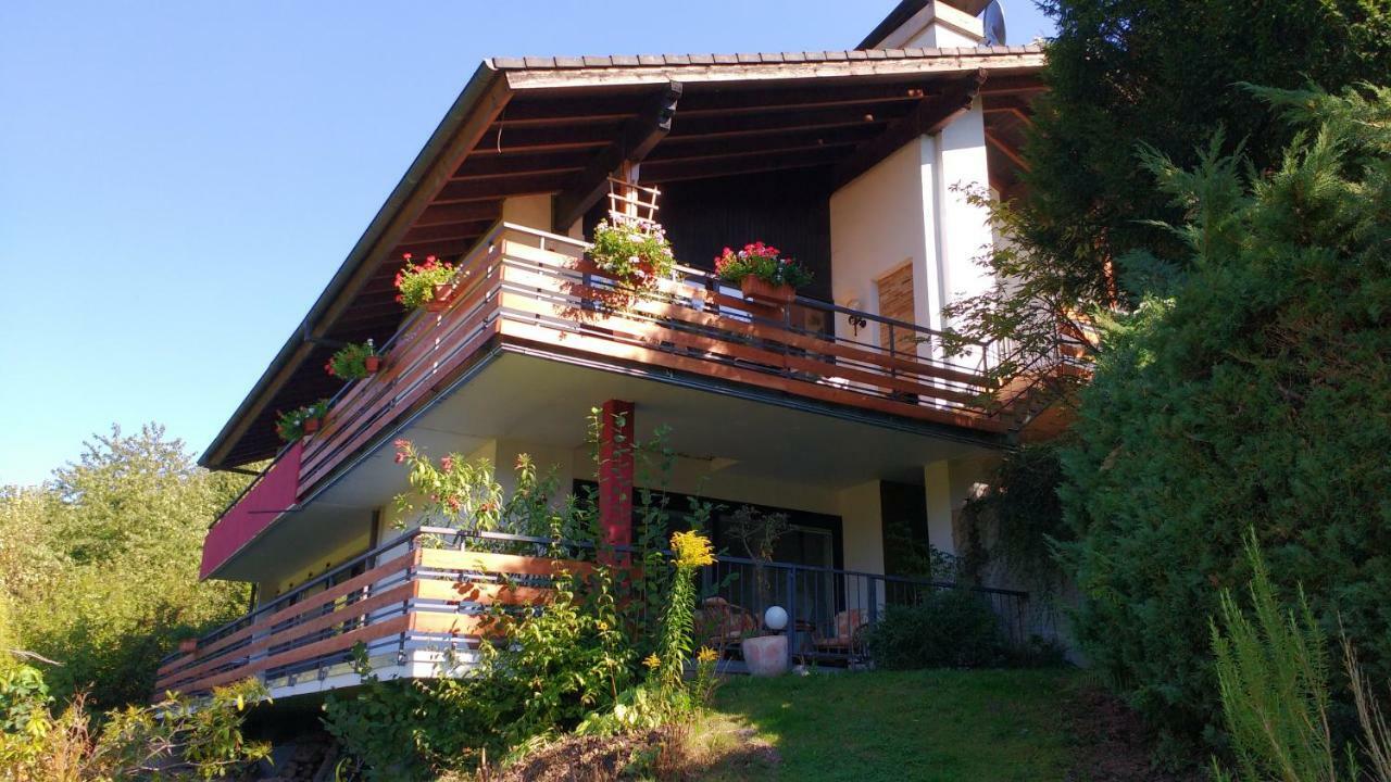 Ferienwohnung Rhododendron - Natur Pur Am Highwalk Rotenburg an der Fulda Buitenkant foto